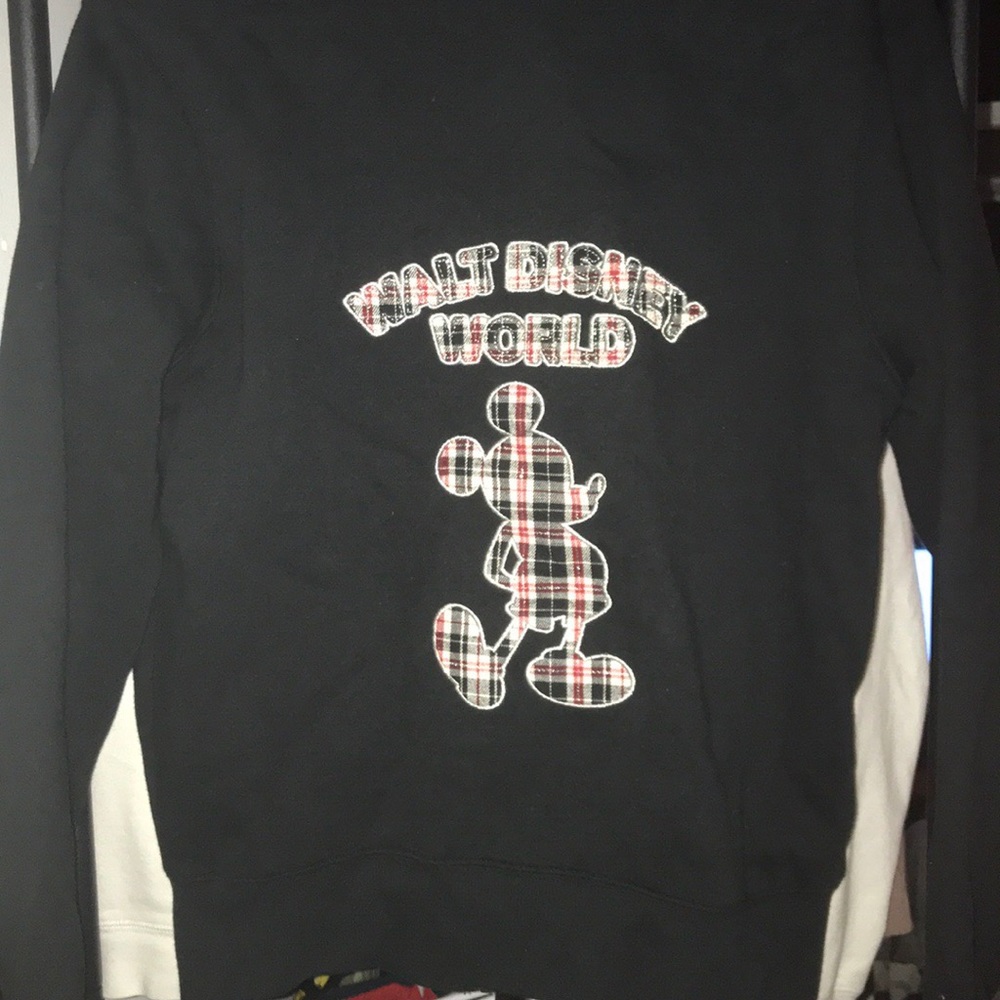 Authentic Walt Disney Hoodie